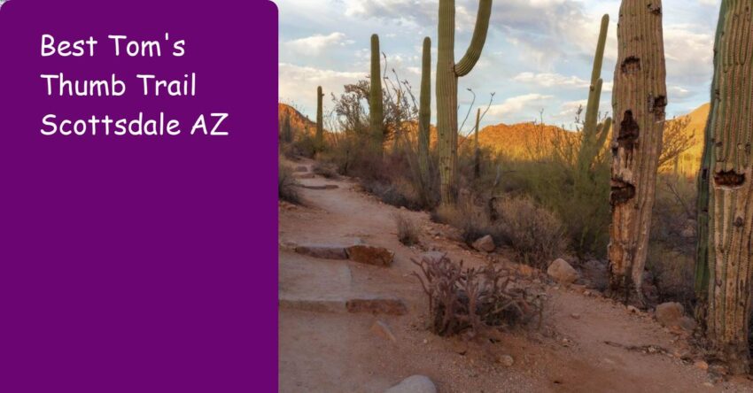 Best Tom's Thumb Trail Scottsdale AZ: Guide for Hikers