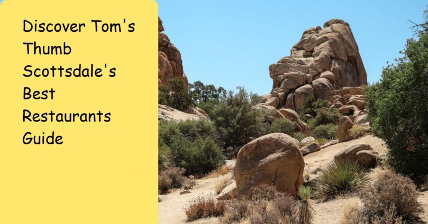 Discover Tom's Thumb Scottsdale's Best Restaurants Guide