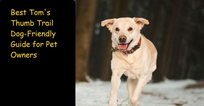 Best Tom's Thumb Trail Dog-Friendly Guide for Pet Owners